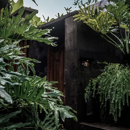 Janjisurga By Ekosistem Villa Denpasar  Exterior photo
