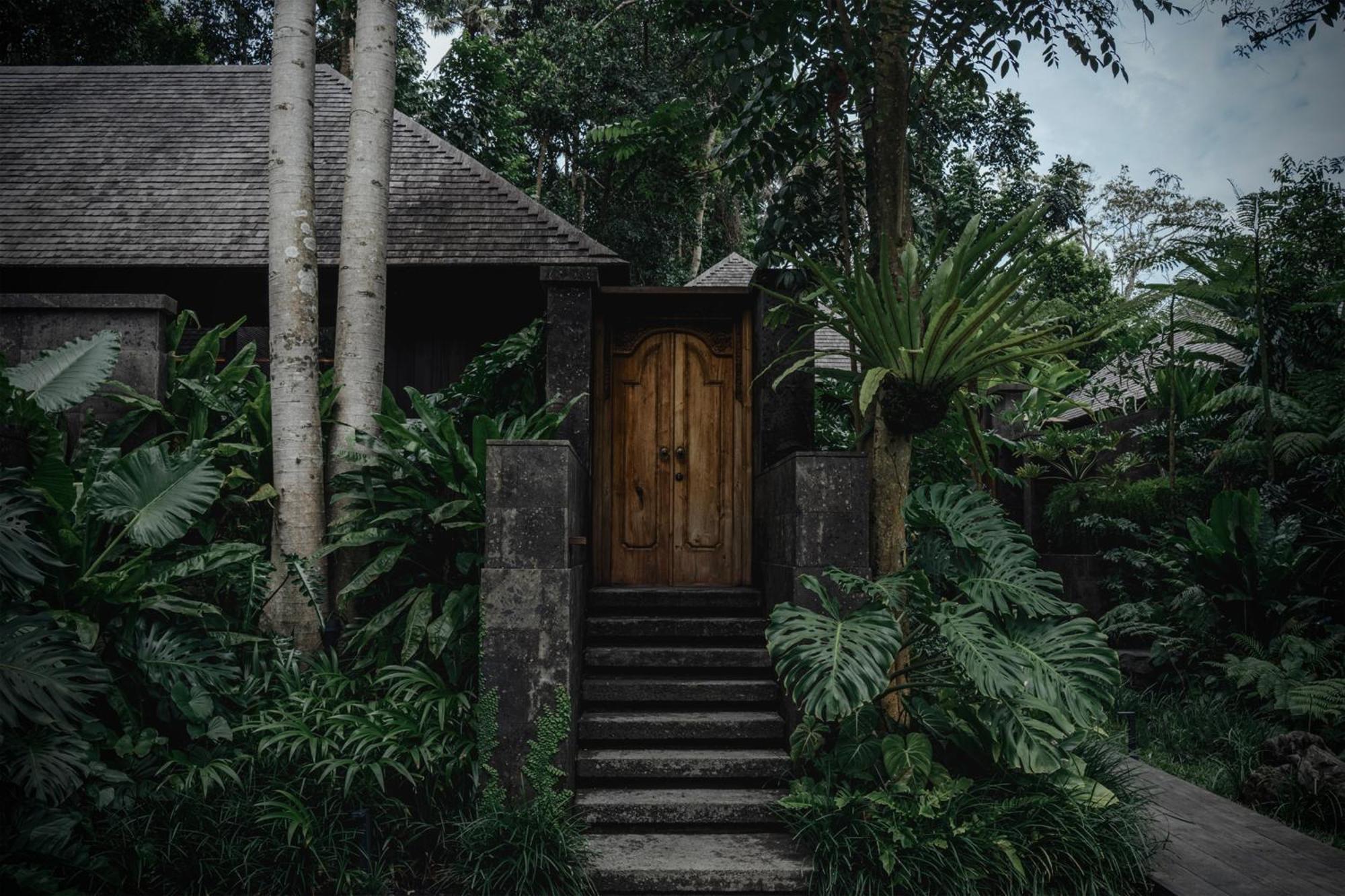 Janjisurga By Ekosistem Denpasar